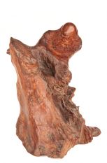 Arhat Damo on rosewood