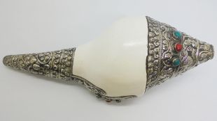 Conch Shell Right spiral