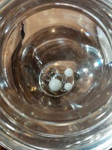 Relics of great masters