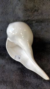 Left-handed conch shell plain
