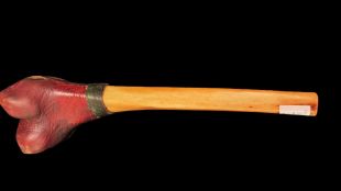 kangling ( Bionic leg bone instrument )