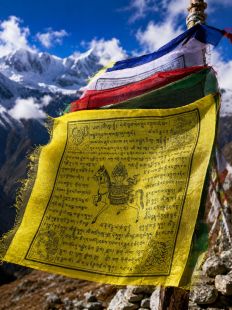 25-Piece Polyester Combined Buddha and Bodhisattva Lungta Flags(1 piece)